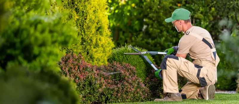 Garden & Lawn Maintenance 